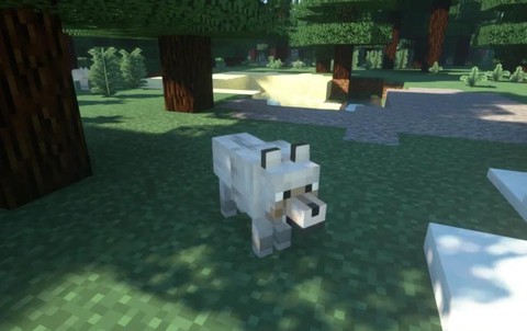 我的世界怎么驯养狼