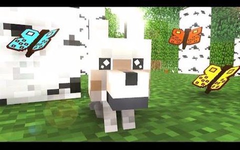 我的世界怎么驯养狼[图2]