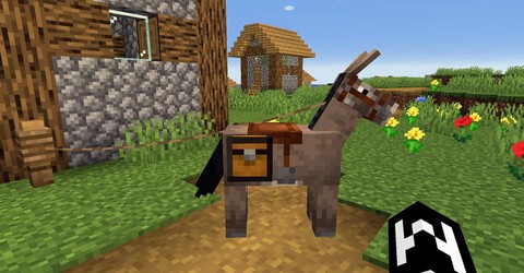 我的世界手机版怎么养马