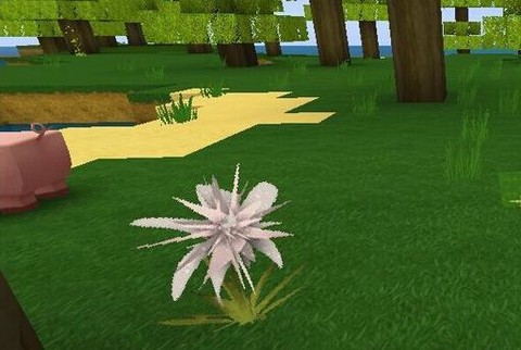 迷你世界怎么种龙舌兰[图2]