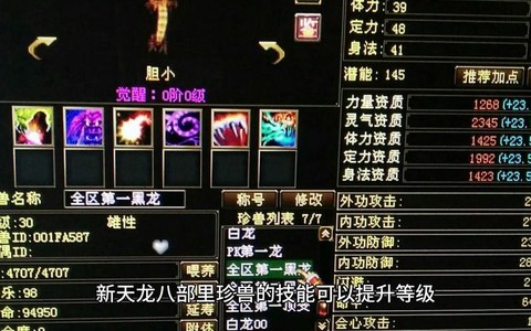 天龙八部珍兽怎么附体[图1]