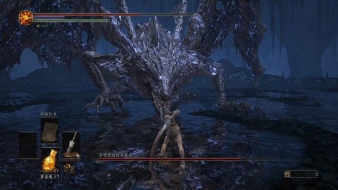 黑魂3黑龙断尾给什么[图2]