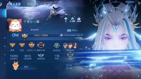 王者荣耀战队怎么改名